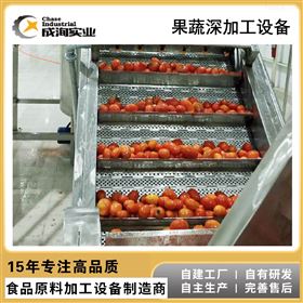 定制 果蔬鼓泡式清洗机 蔬菜清洗设备
