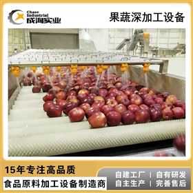 CXP-QX-MS毛刷式清洗机